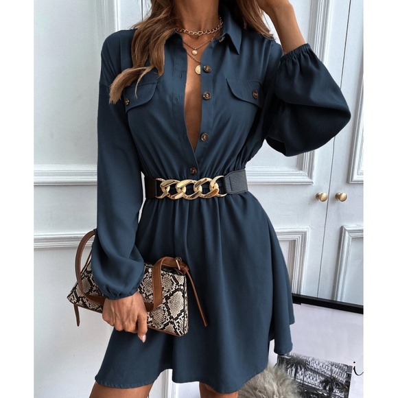 Classic Button Bishop Sleeve Oversized Shirt Dress - Picture 6 of 11